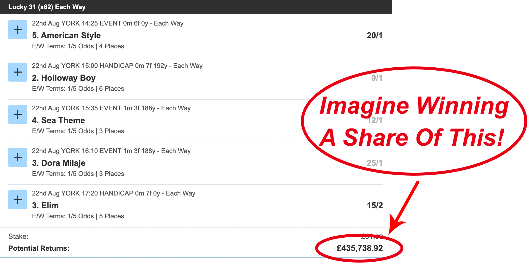 betslip we've got you covered betbold 08.24